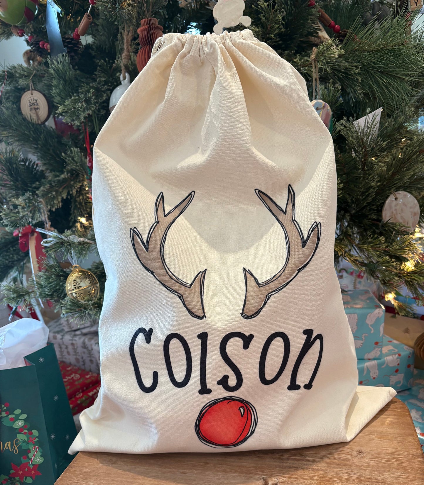 Boy Reindeer Gift Bag with Custom Name