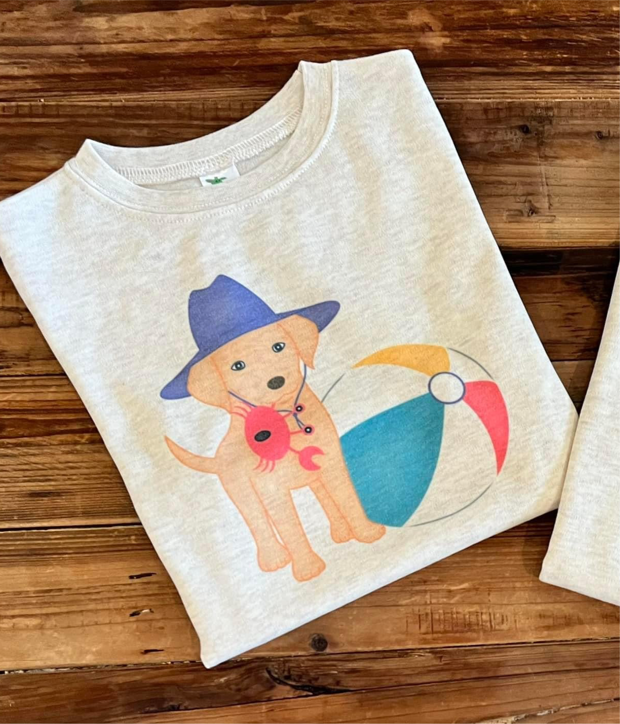Girl Beach Puppy
