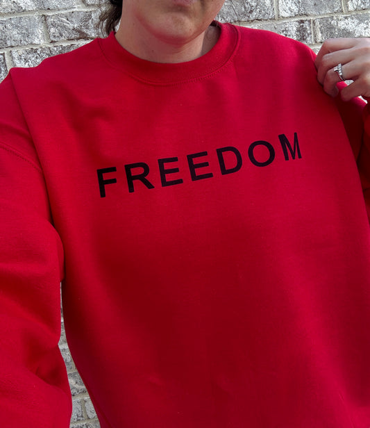 FREEDOM - Charlie Kirk