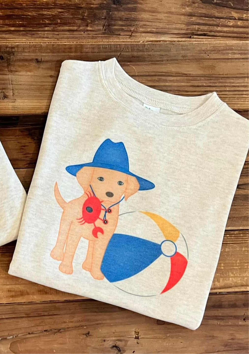 Boy Beach Puppy