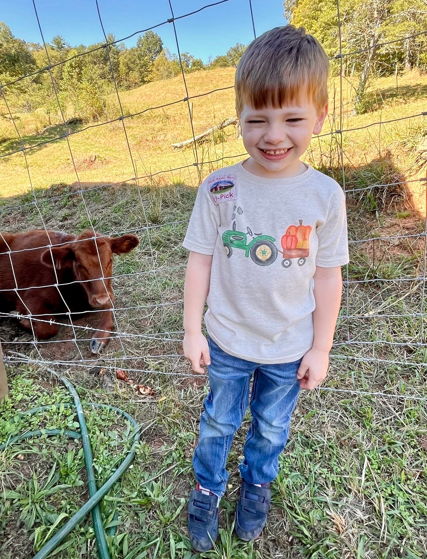 Green Tractor with Pumpkins