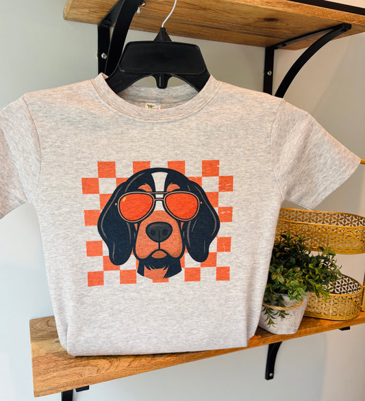 Boy Check Dog Mascot on Grey