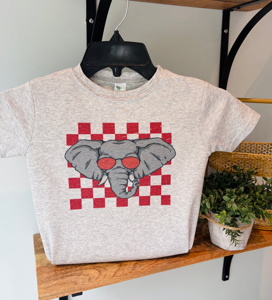 Boy Check Elephant Mascot on Grey